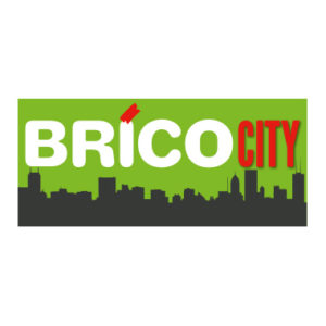 Brico City